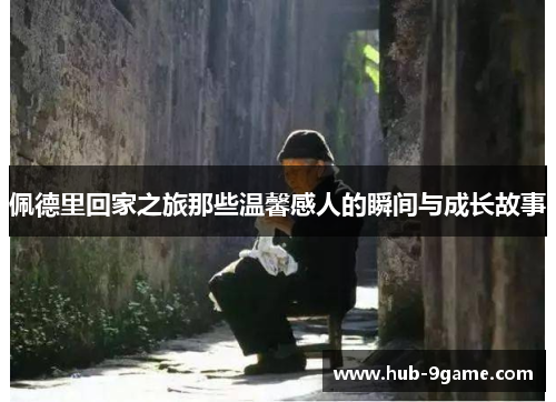 佩德里回家之旅那些温馨感人的瞬间与成长故事
